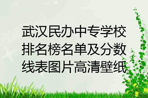 武汉民办中专学校排名榜名单及分数线表图片高清壁纸