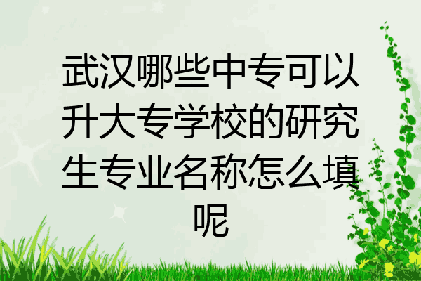 武汉哪些中专可以升大专学校的研究生专业名称怎么填呢