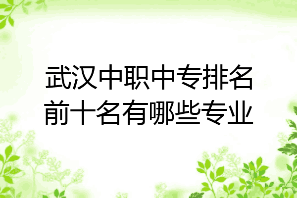武汉中职中专排名前十名有哪些专业