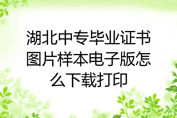 湖北中专毕业证书图片样本电子版怎么下载打印