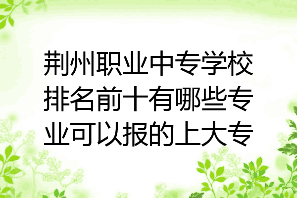 荆州职业中专学校排名前十有哪些专业可以报的上大专
