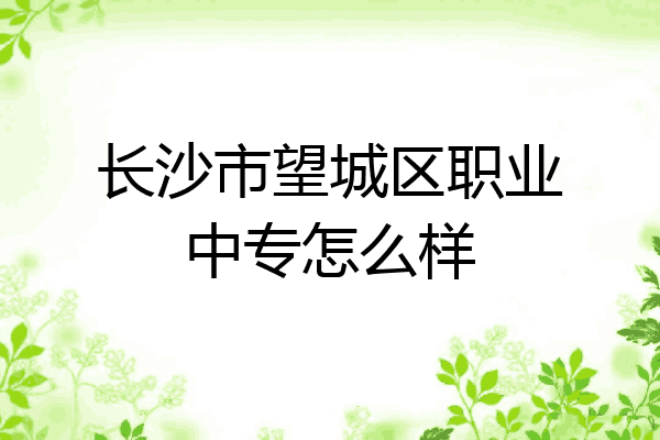 长沙市望城区职业中专怎么样