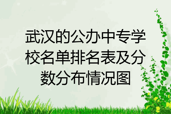 武汉的公办中专学校名单排名表及分数分布情况图