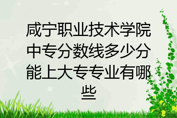 咸宁职业技术学院中专分数线多少分能上大专专业有哪些