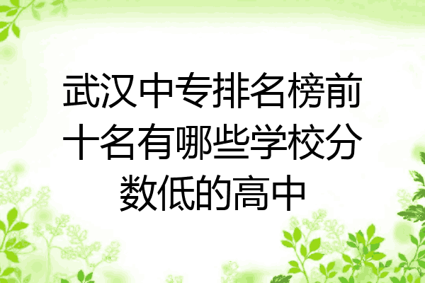 武汉中专排名榜前十名有哪些学校分数低的高中