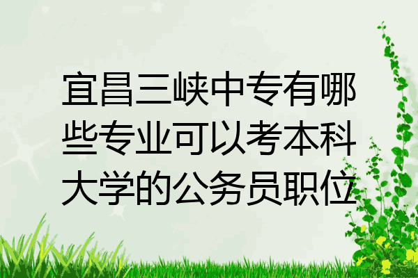 宜昌三峡中专有哪些专业可以考本科大学的公务员职位