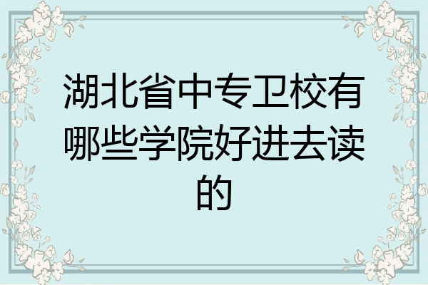 湖北省中专卫校有哪些学院好进去读的