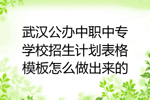 武汉公办中职中专学校招生计划表格模板怎么做出来的
