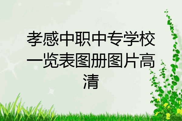 孝感中职中专学校一览表图册图片高清