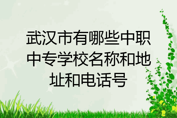 武汉市有哪些中职中专学校名称和地址和电话号