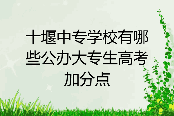十堰中专学校有哪些公办大专生高考加分点