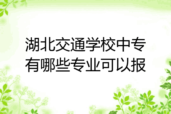 湖北交通学校中专有哪些专业可以报