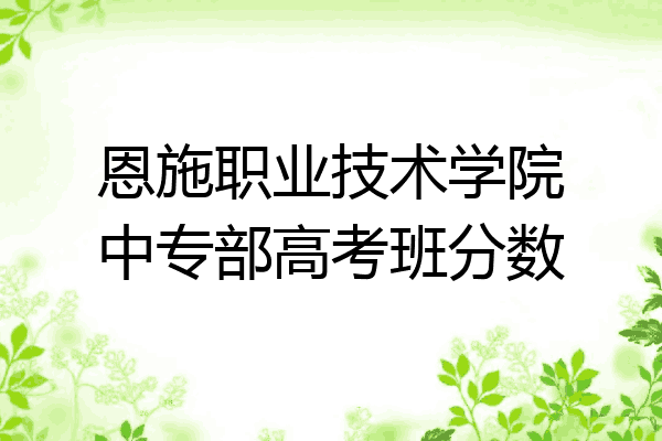 恩施职业技术学院中专部高考班分数