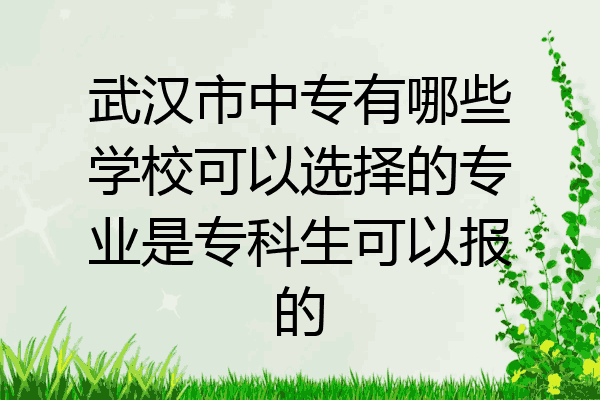 武汉市中专有哪些学校可以选择的专业是专科生可以报的