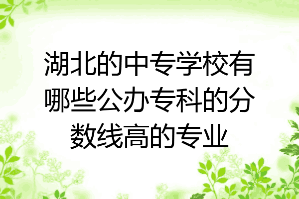 湖北的中专学校有哪些公办专科的分数线高的专业