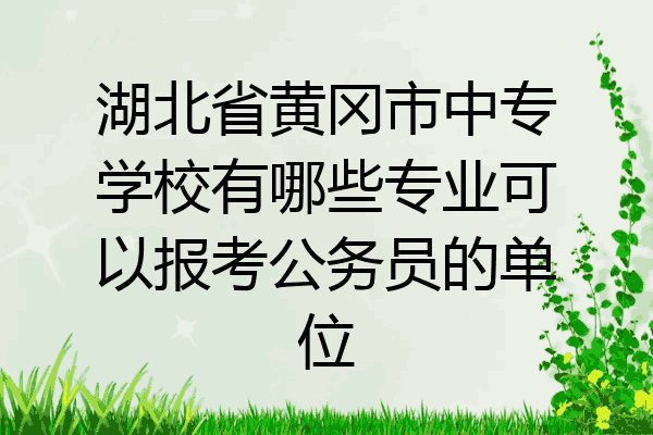 湖北省黄冈市中专学校有哪些专业可以报考公务员的单位