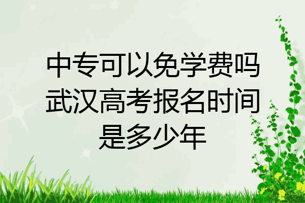 中专可以免学费吗武汉高考报名时间是多少年