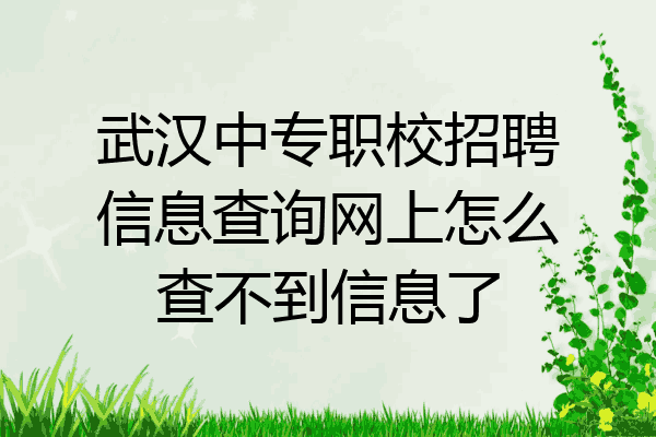 武汉中专职校招聘信息查询网上怎么查不到信息了