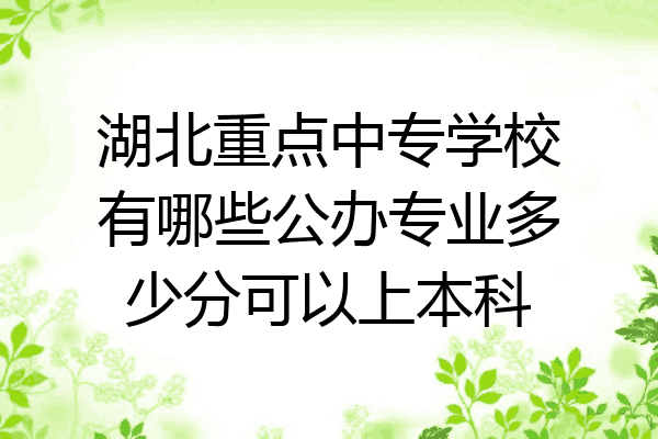 湖北重点中专学校有哪些公办专业多少分可以上本科