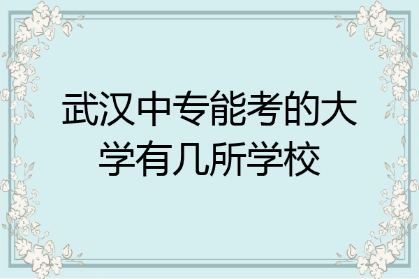 武汉中专能考的大学有几所学校
