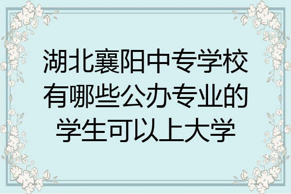 湖北襄阳中专学校有哪些公办专业的学生可以上大学