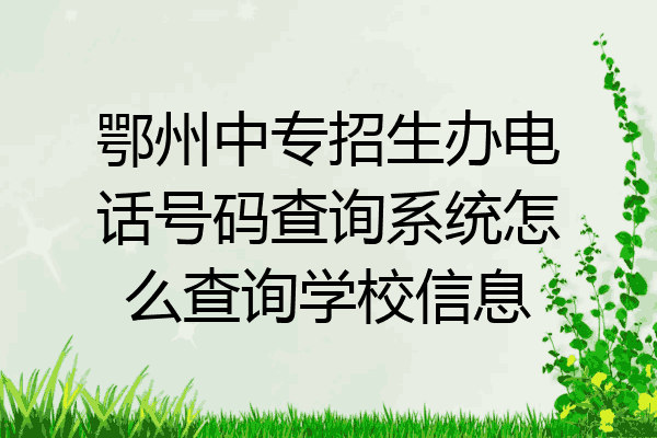 鄂州中专招生办电话号码查询系统怎么查询学校信息