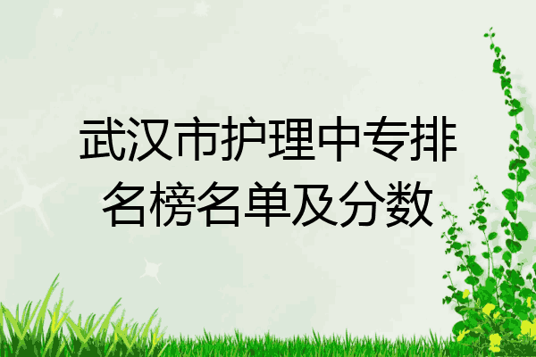 武汉市护理中专排名榜名单及分数