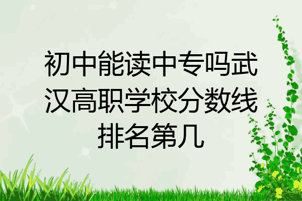 初中能读中专吗武汉高职学校分数线排名第几