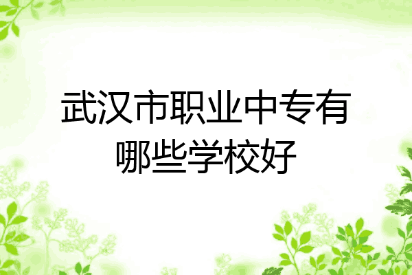 武汉市职业中专有哪些学校好