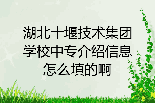 湖北十堰技术集团学校中专介绍信息怎么填的啊