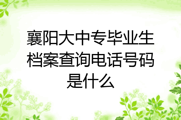 襄阳大中专毕业生档案查询电话号码是什么