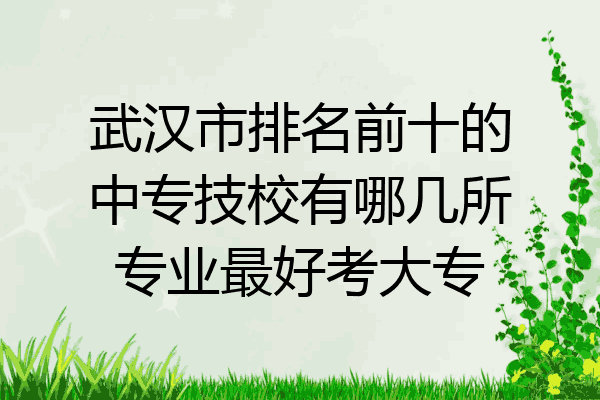 武汉市排名前十的中专技校有哪几所专业最好考大专