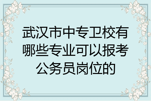 武汉市中专卫校有哪些专业可以报考公务员岗位的
