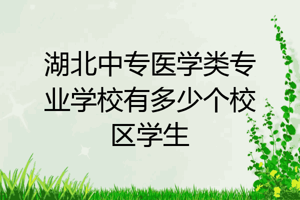 湖北中专医学类专业学校有多少个校区学生