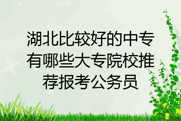 湖北比较好的中专有哪些大专院校推荐报考公务员