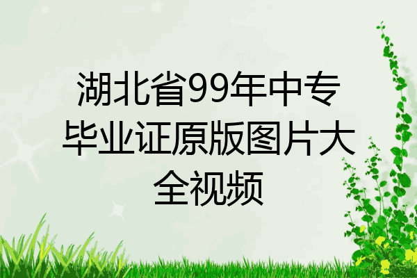 湖北省99年中专毕业证原版图片大全视频