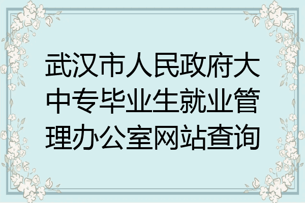 武汉市人民政府大中专毕业生就业管理办公室网站查询