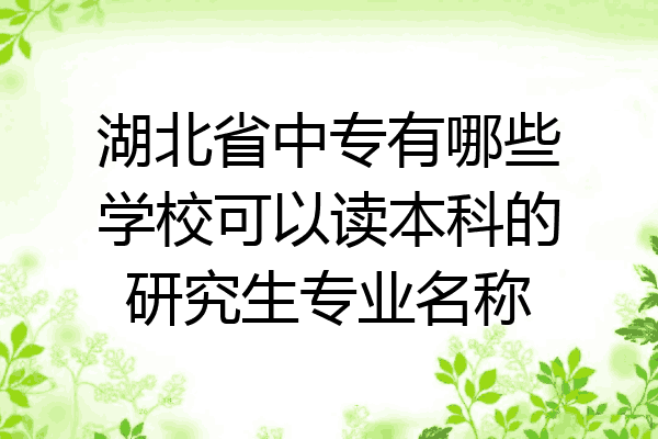 湖北省中专有哪些学校可以读本科的研究生专业名称