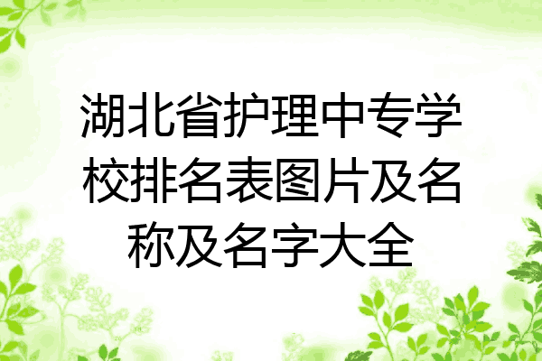 湖北省护理中专学校排名表图片及名称及名字大全
