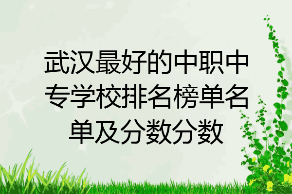 武汉最好的中职中专学校排名榜单名单及分数分数