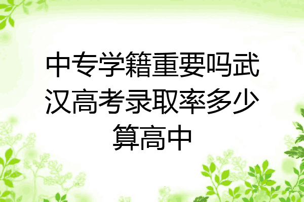 中专学籍重要吗武汉高考录取率多少算高中