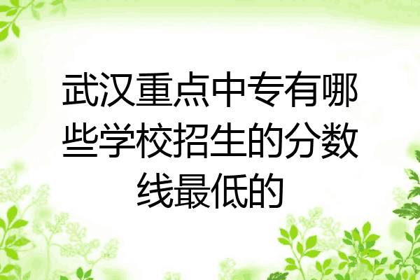武汉重点中专有哪些学校招生的分数线最低的
