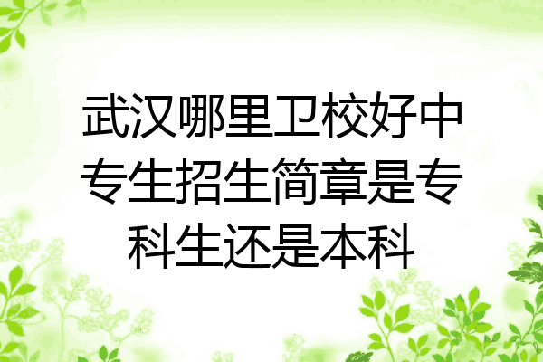 武汉哪里卫校好中专生招生简章是专科生还是本科