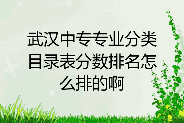 武汉中专专业分类目录表分数排名怎么排的啊