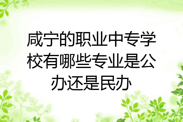 咸宁的职业中专学校有哪些专业是公办还是民办