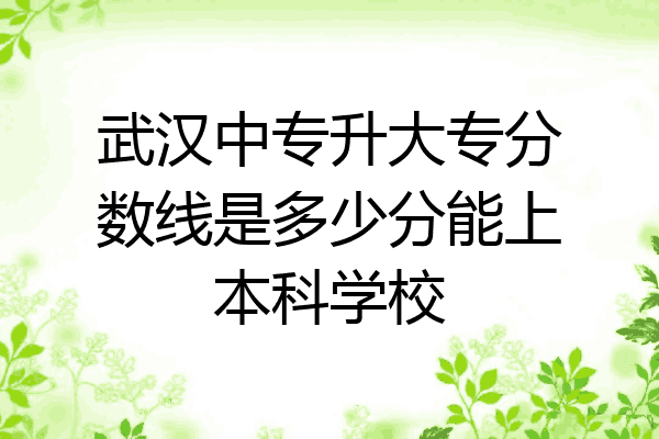 武汉中专升大专分数线是多少分能上本科学校
