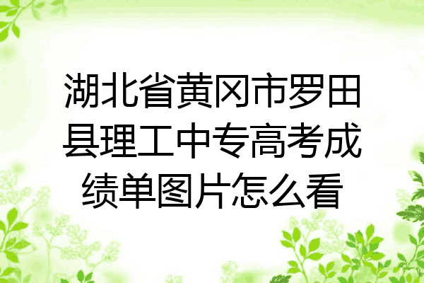 湖北省黄冈市罗田县理工中专高考成绩单图片怎么看