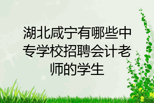 湖北咸宁有哪些中专学校招聘会计老师的学生