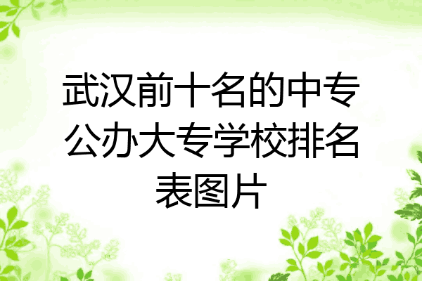 武汉前十名的中专公办大专学校排名表图片