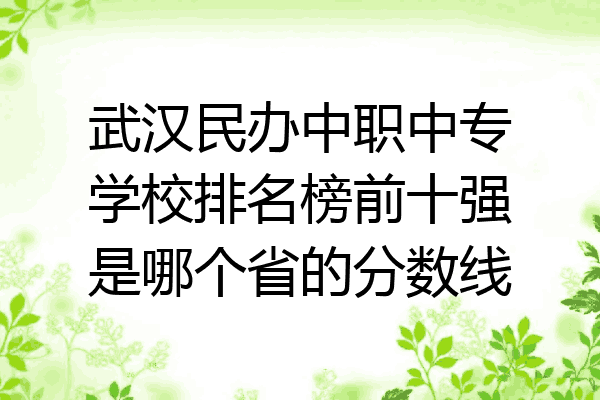 武汉民办中职中专学校排名榜前十强是哪个省的分数线